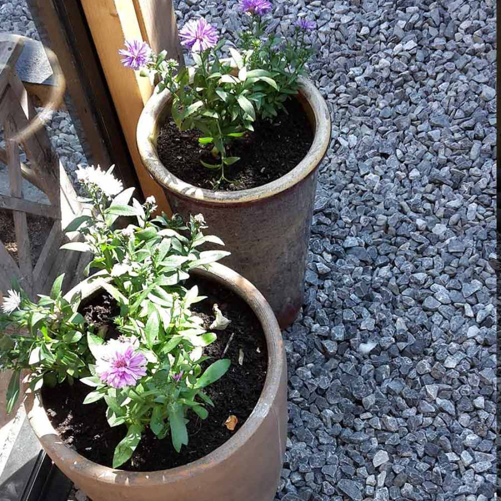 Ardenner brokjes grijs 20-32 mm rond terracotta potten in de tuin
