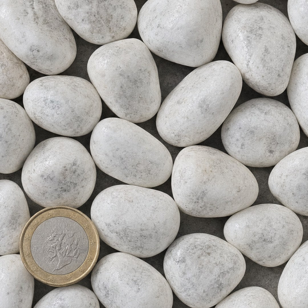 Carrara rond 15/25 mm van bovenaf, op schaal naast een munt van 1 euro (gezichtsveld 9 bij 9 cm)