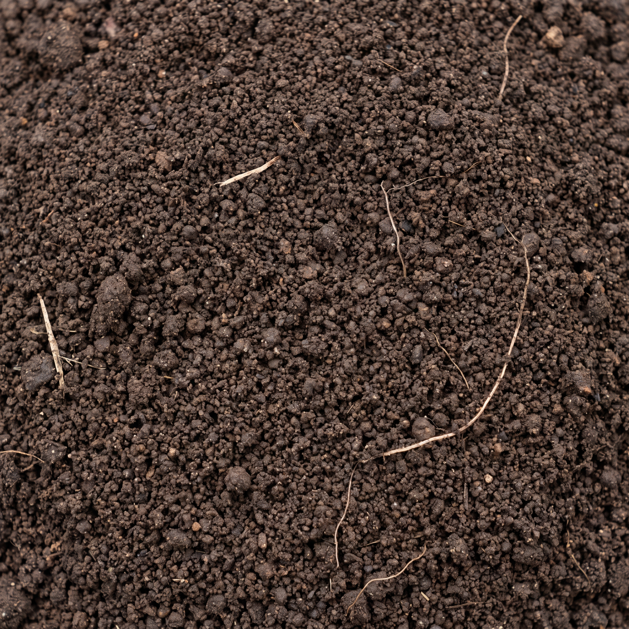 Close-up van de structuur van tuingrond: donkere kruimelige teelaarde met compost