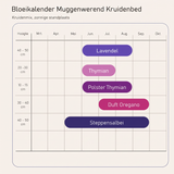 Bloeikalender Muggenwerend Kruidenbed