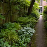 Schaduwrijk tuinpad omzoomd met een dichte schaduwborder