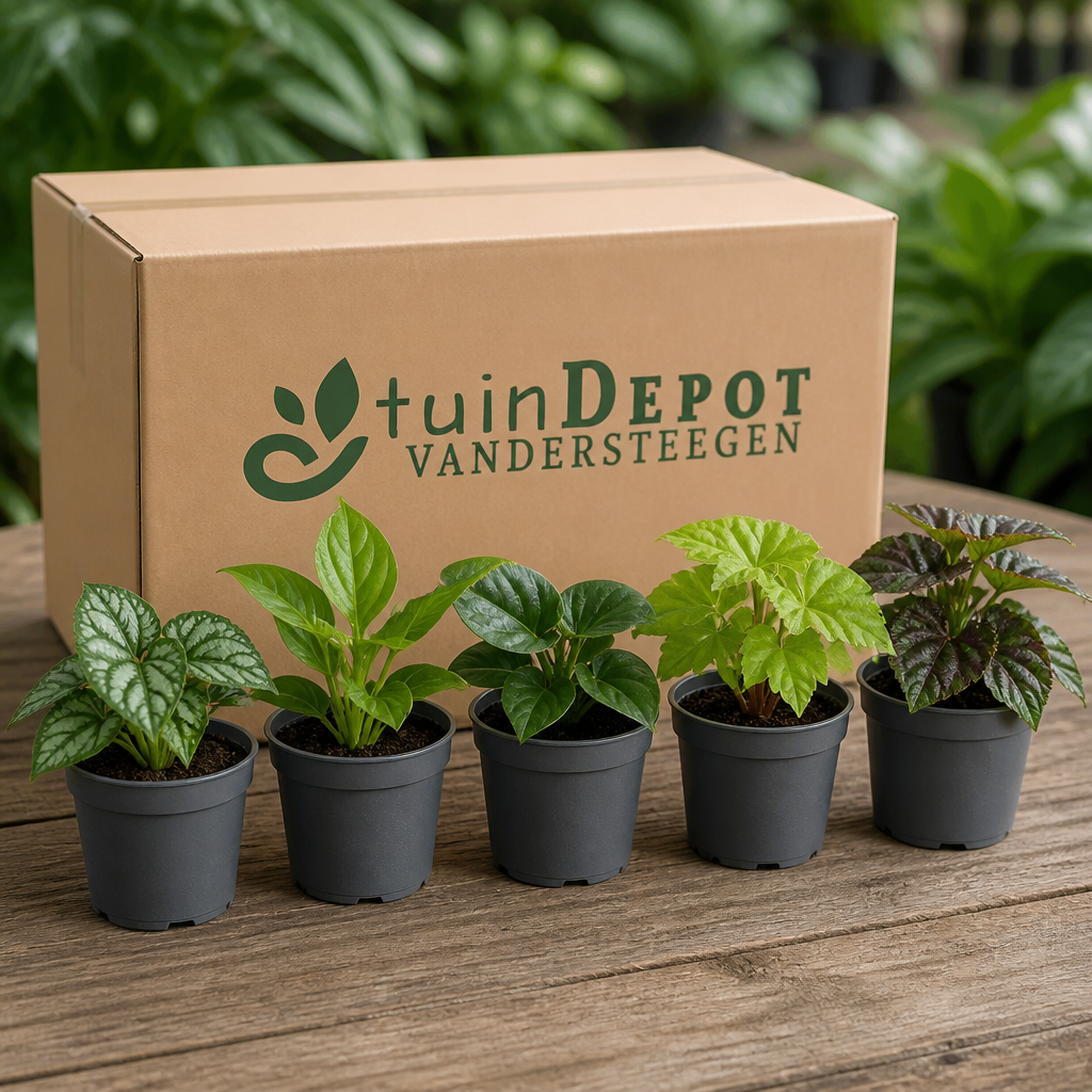 TuinDepot-verpakking met de 5 planten van het Bloeiend Bosplekje