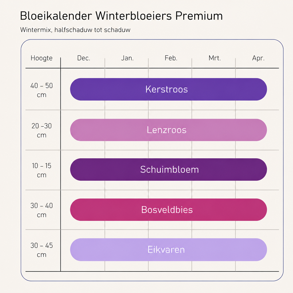 Bloeikalender Winterbloeiers Premium