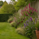Moderne cottageborder met duizendknoop, prachtkaars en beemdkroon