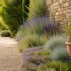 Provence kruidentuin met lavendel, tijm en steppensalie