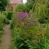 Tuinpad bij een vijver omzoomd met een vochtminnende border