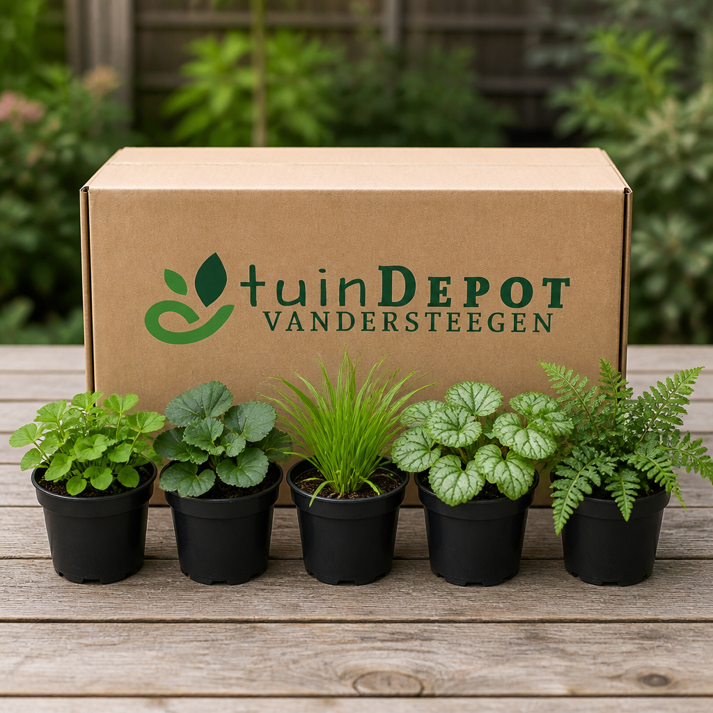 TuinDepot-verpakking met de 5 planten van de Vochtige Border