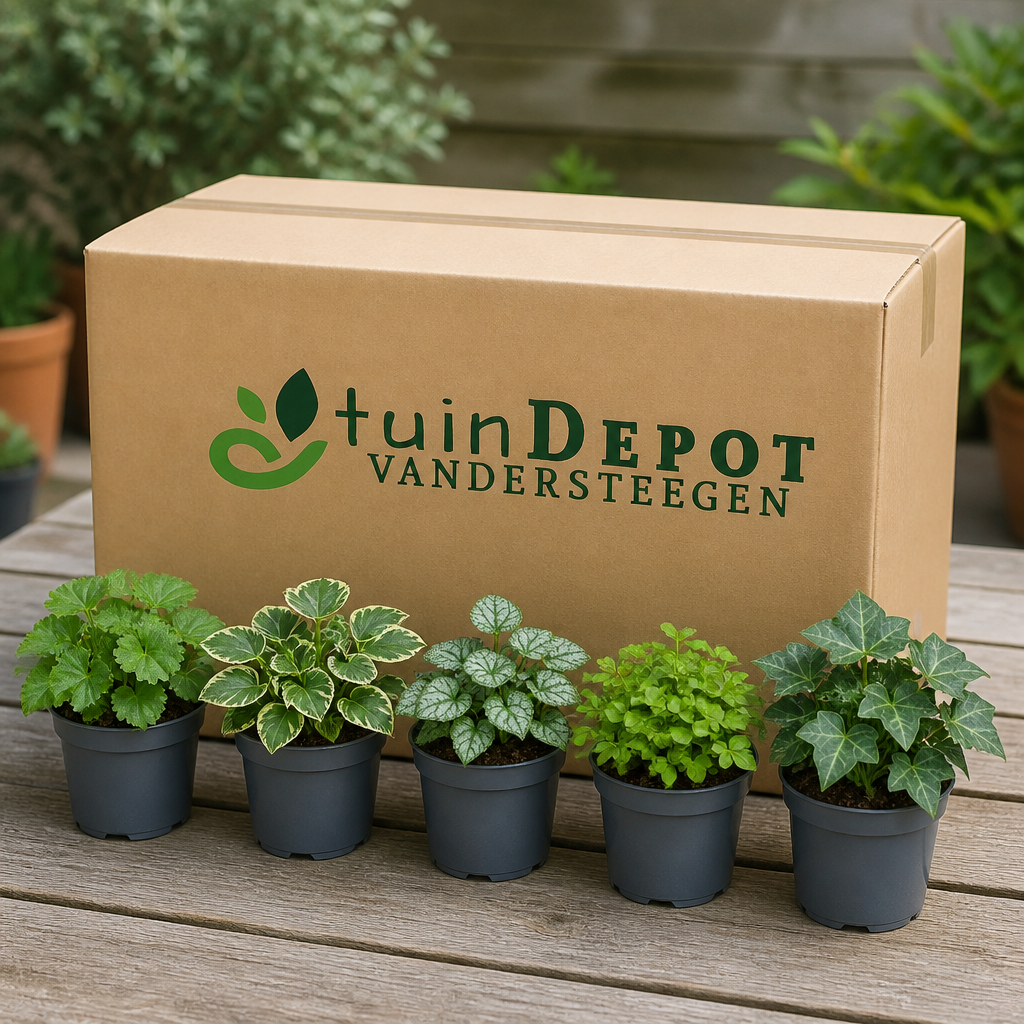 TuinDepot-verpakking met de 5 planten van de Schaduwheld