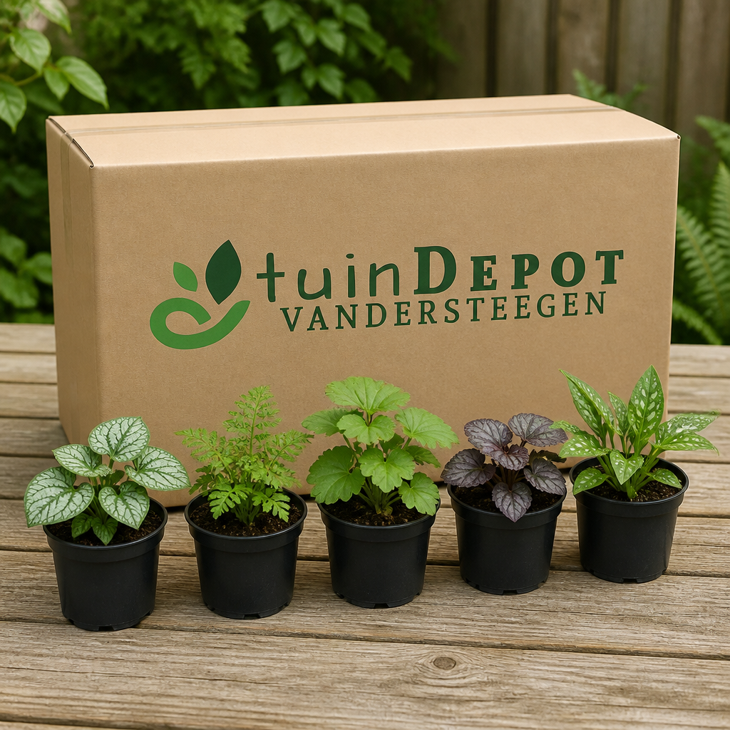 TuinDepot-verpakking met de 5 planten van de Bostuinborder