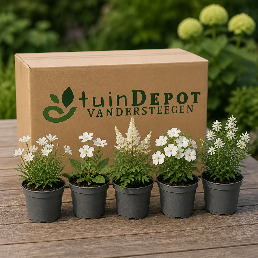 TuinDepot-verpakking met de 5 planten van de Witte Tuin
