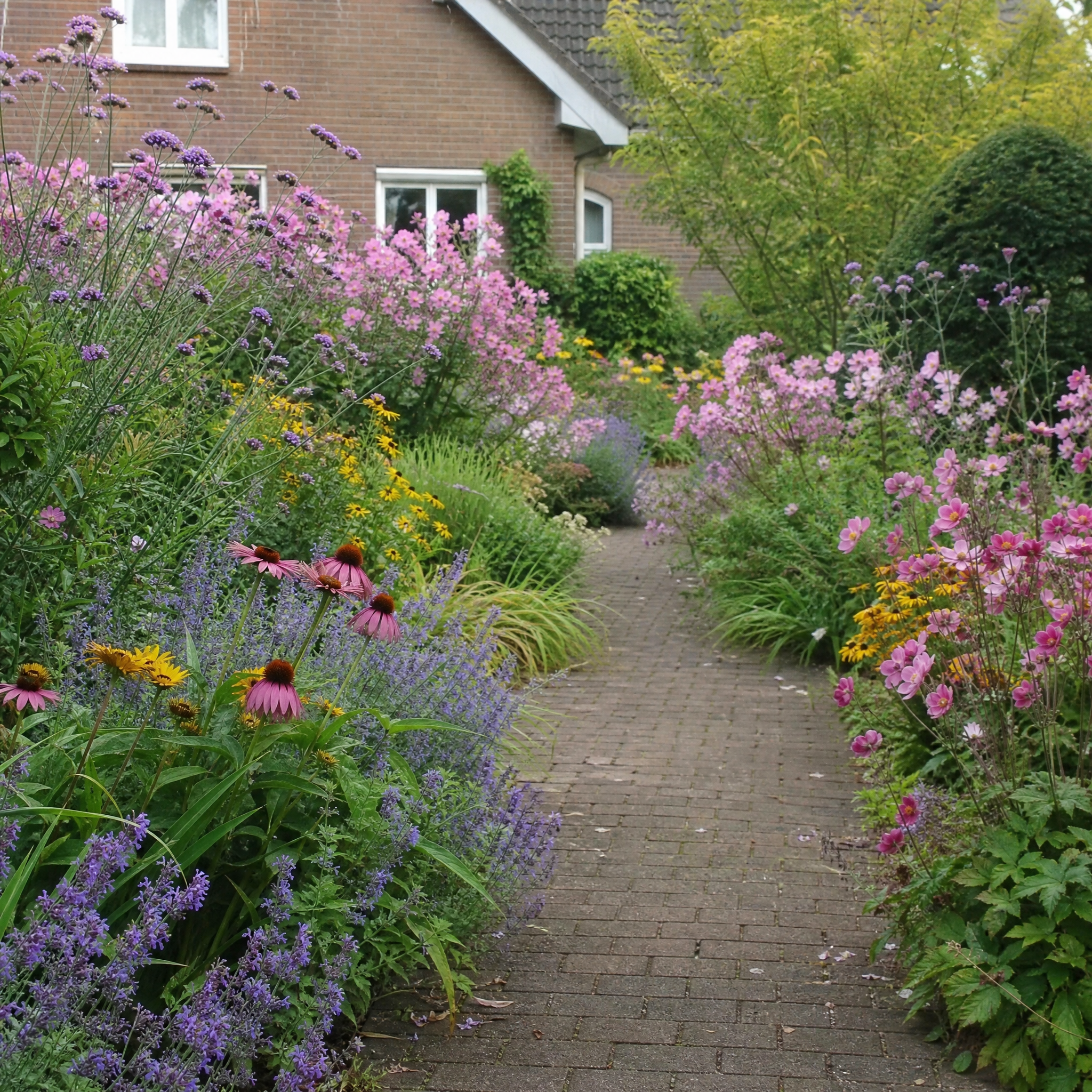 Tuinpad omzoomd door een kleurrijke zonnige border