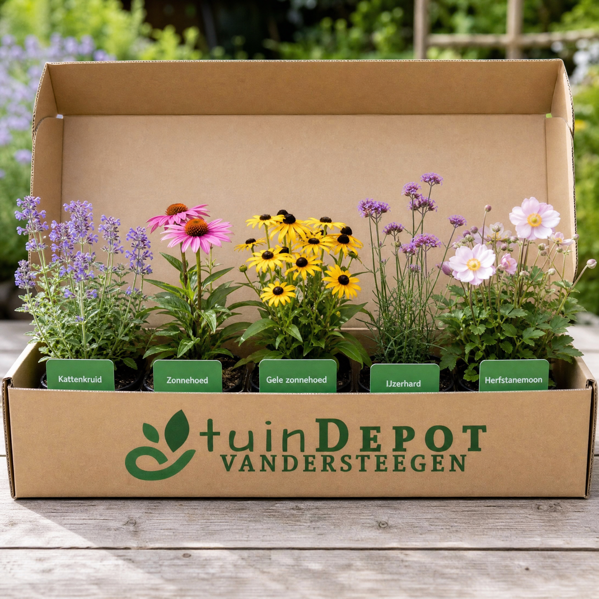 TuinDepot-verpakking met de 5 planten van de Tsjaikovski-border