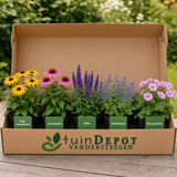 TuinDepot-verpakking met de 5 planten van de Vivaldi-border