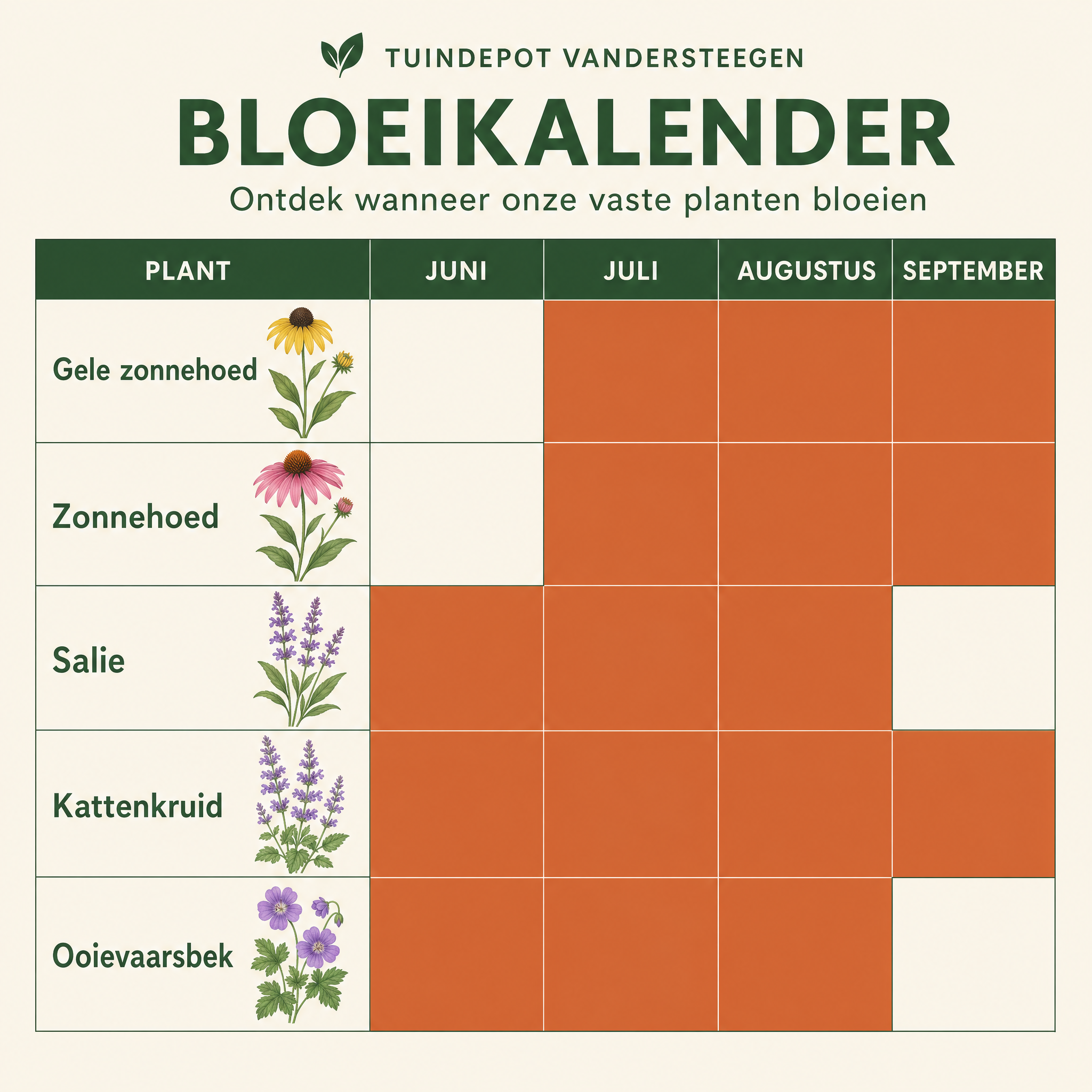 Bloeikalender Vivaldi border