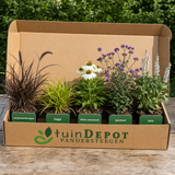 TuinDepot-verpakking met de 5 planten van de Bach-border
