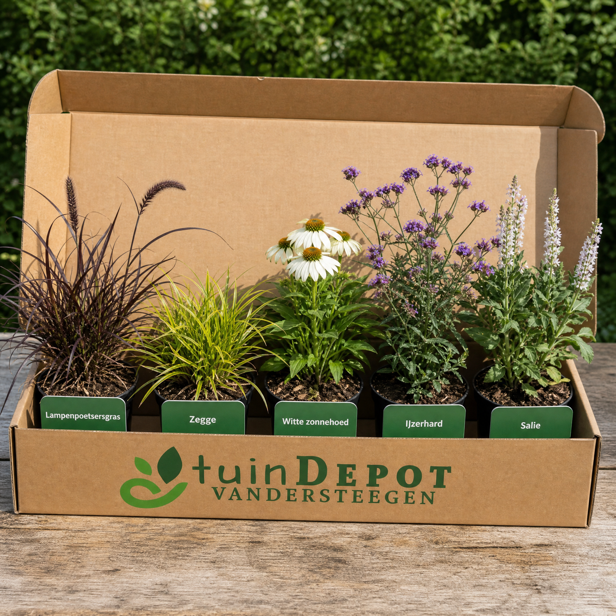 TuinDepot-verpakking met de 5 planten van de Bach-border