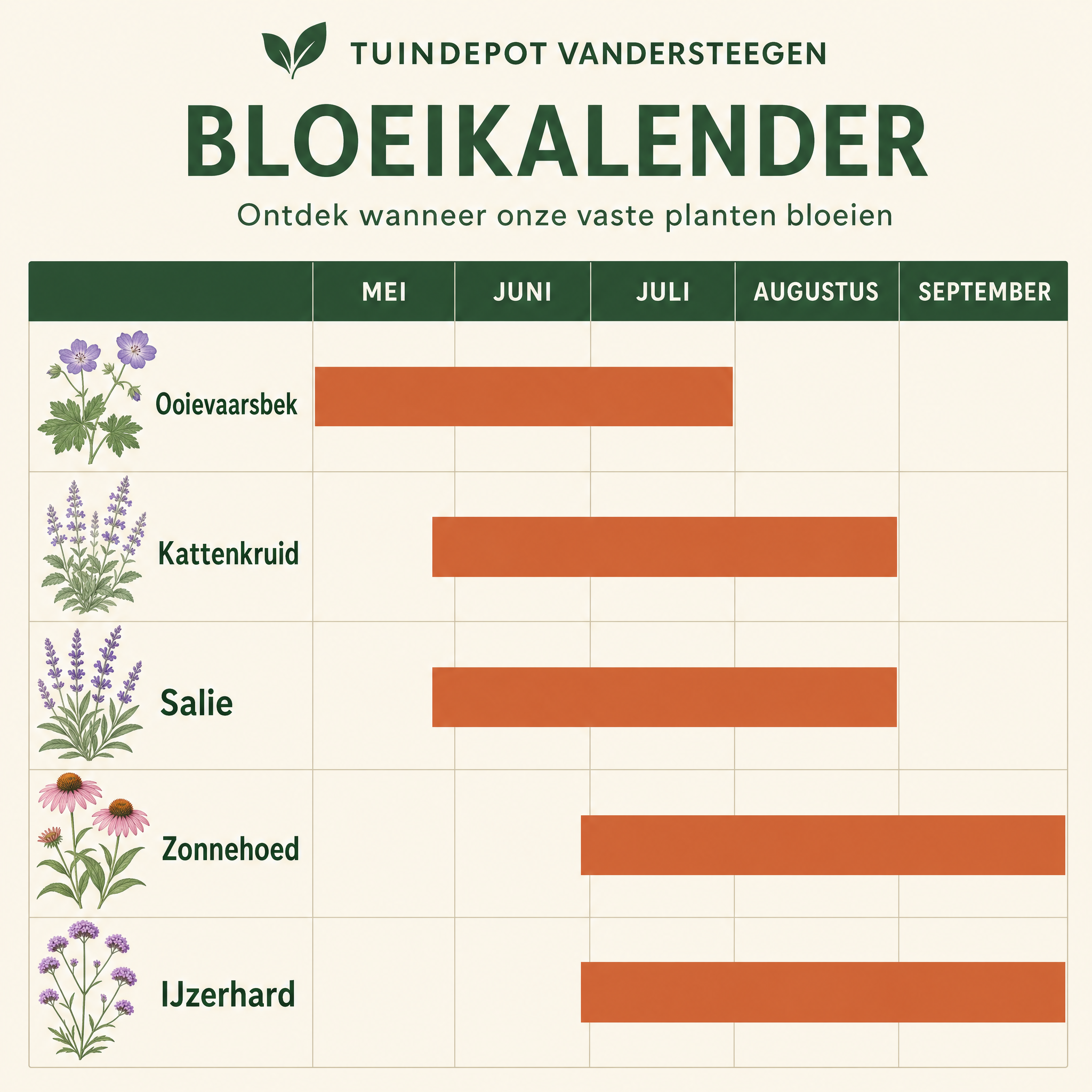 Bloeikalender Rossini border