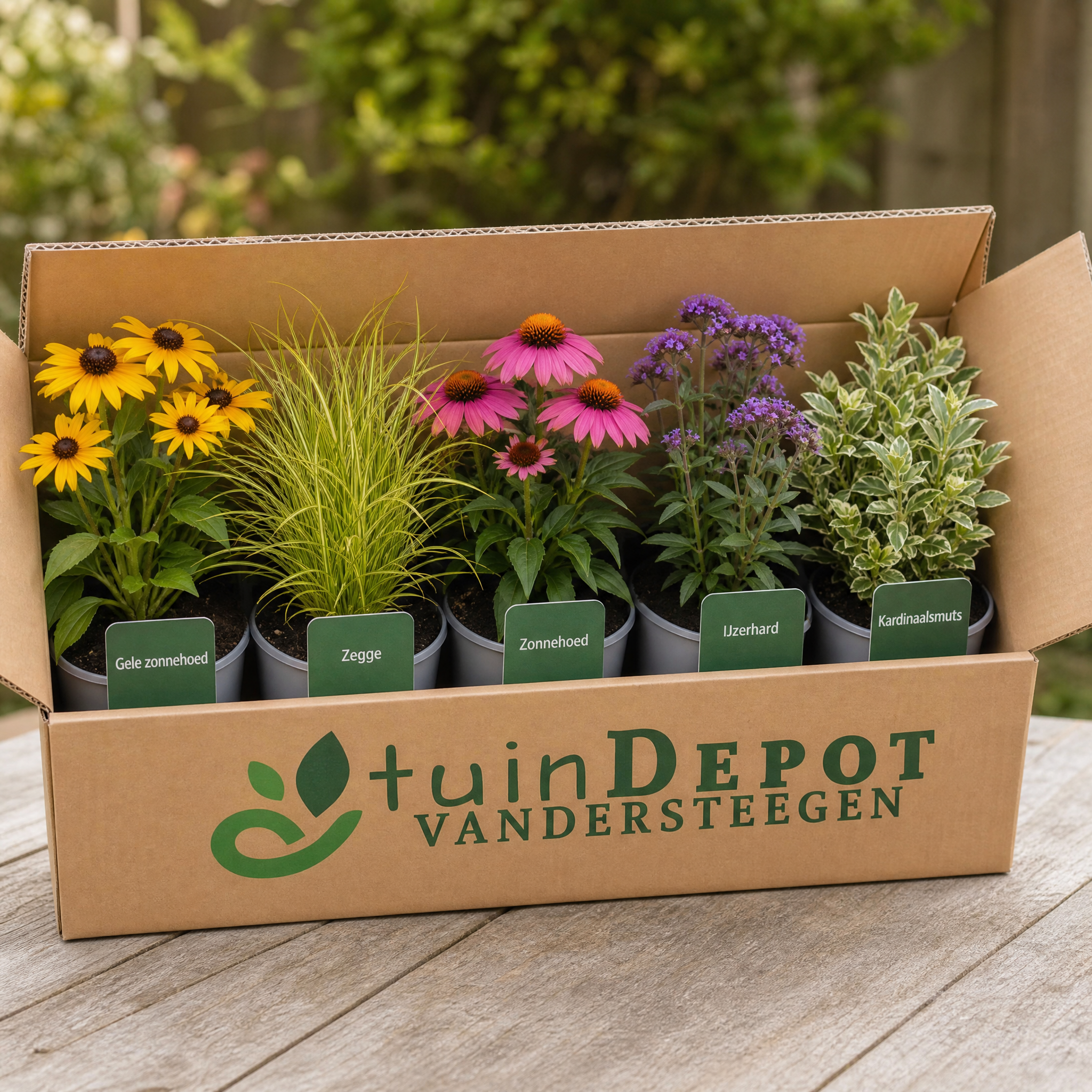 TuinDepot-verpakking met de 5 planten van de Liszt-border
