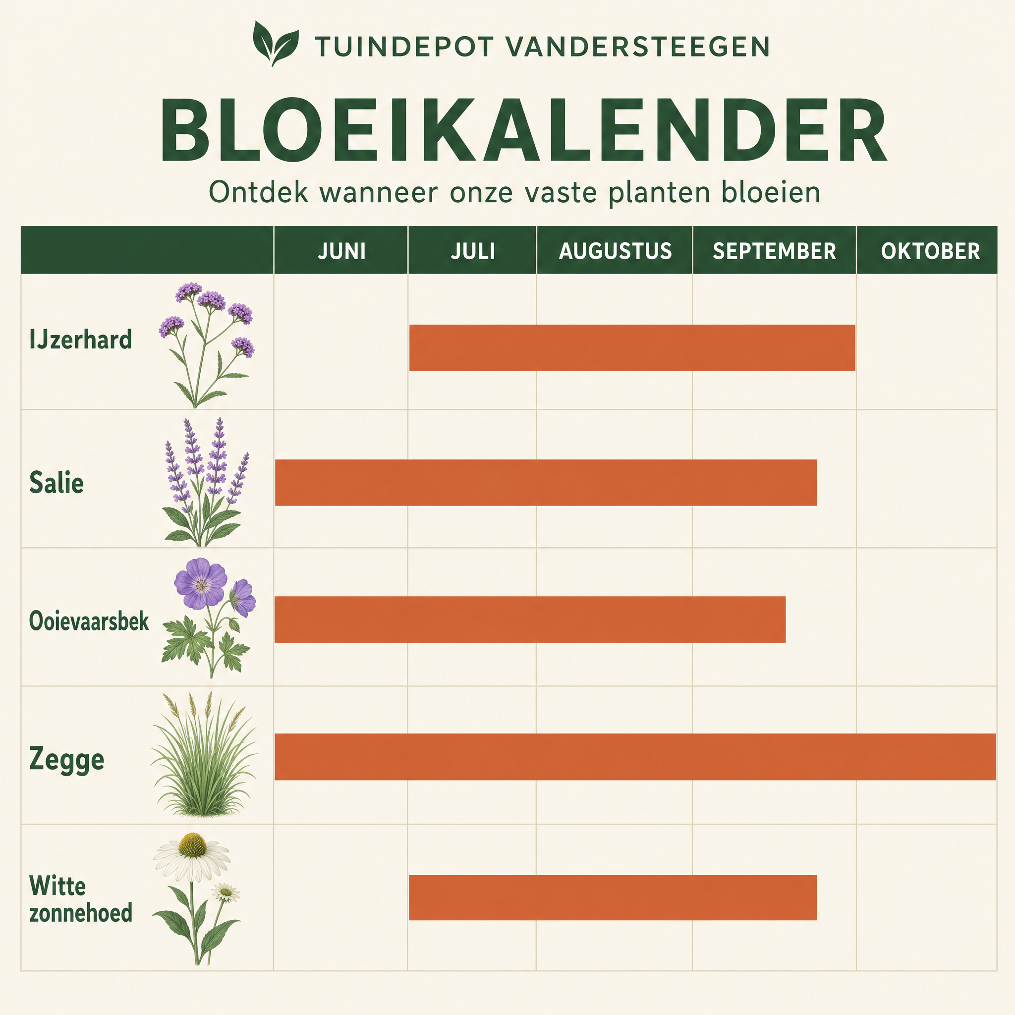 Bloeikalender Rameau border