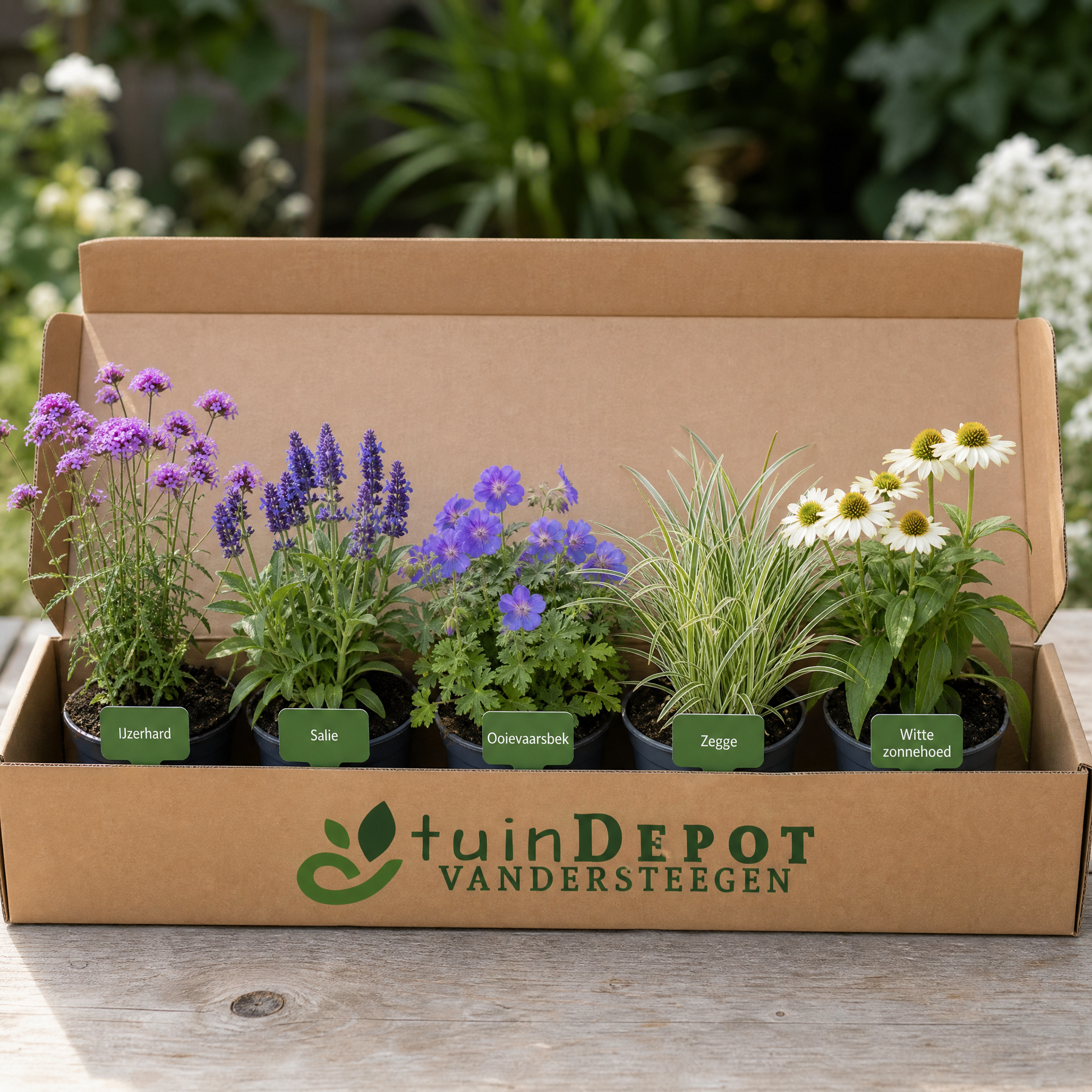 TuinDepot-verpakking met de 5 planten van de Rameau-border