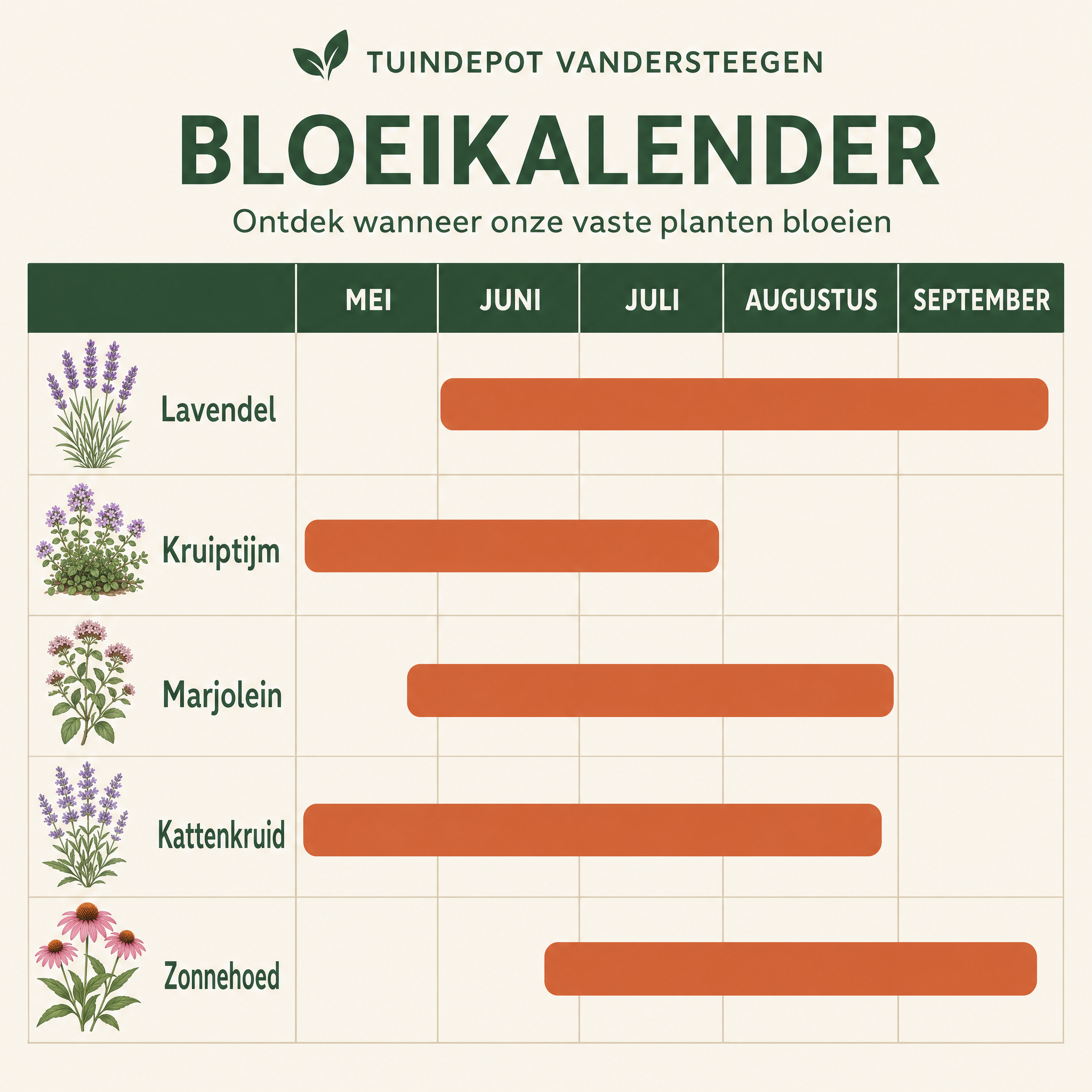 Bloeikalender Verdi border