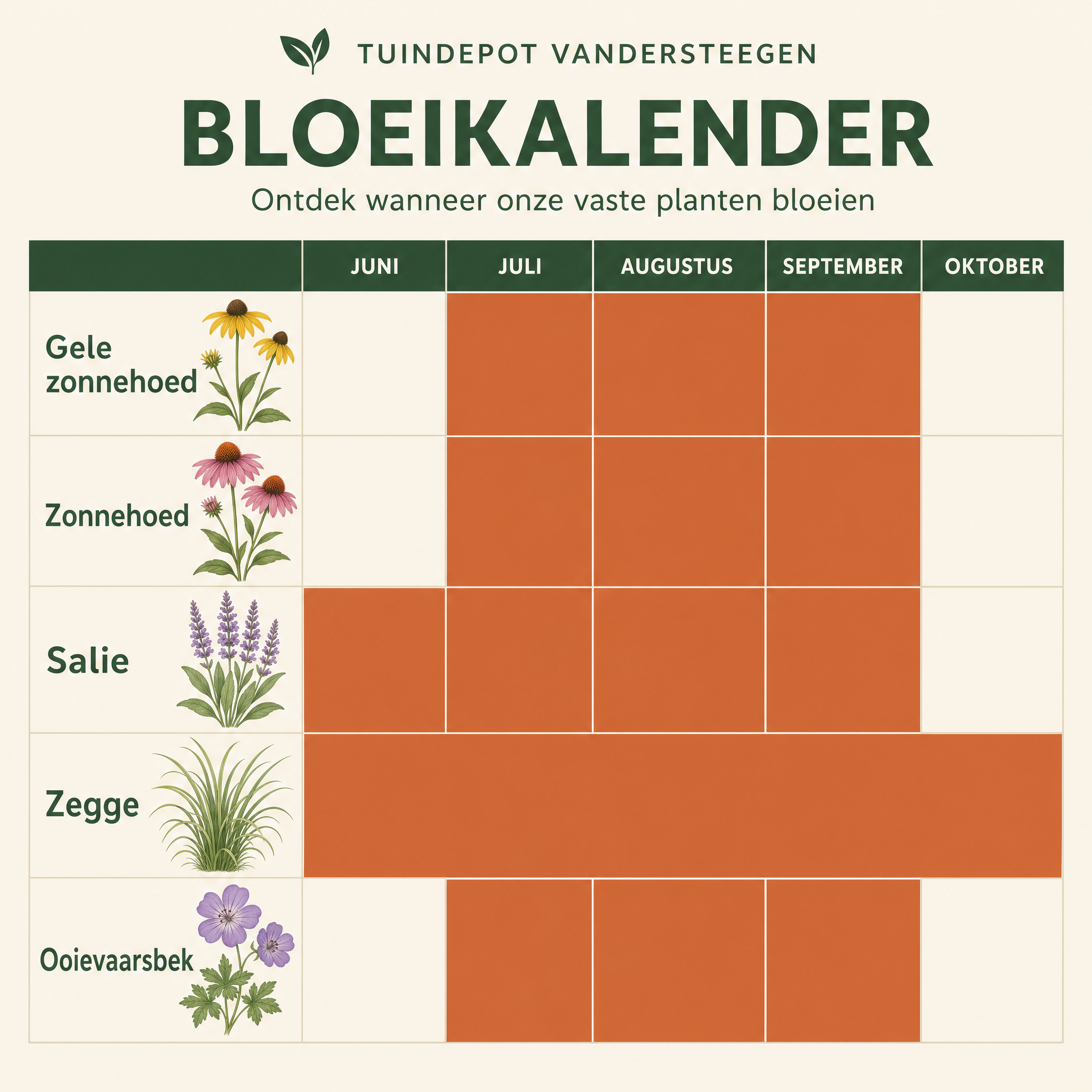 Bloeikalender Rimski-Korsakov border