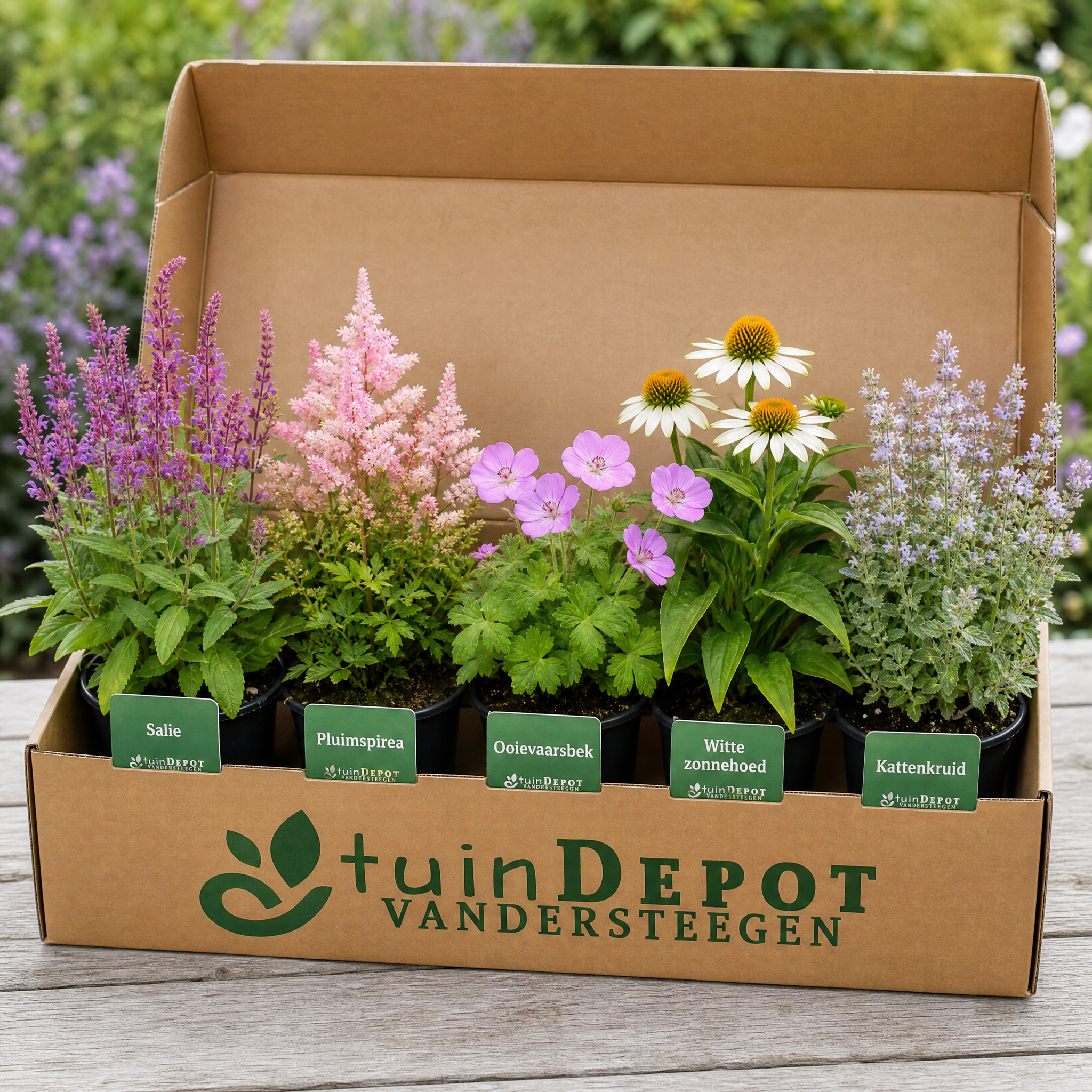 TuinDepot-verpakking met de 5 planten van de Puccini-border
