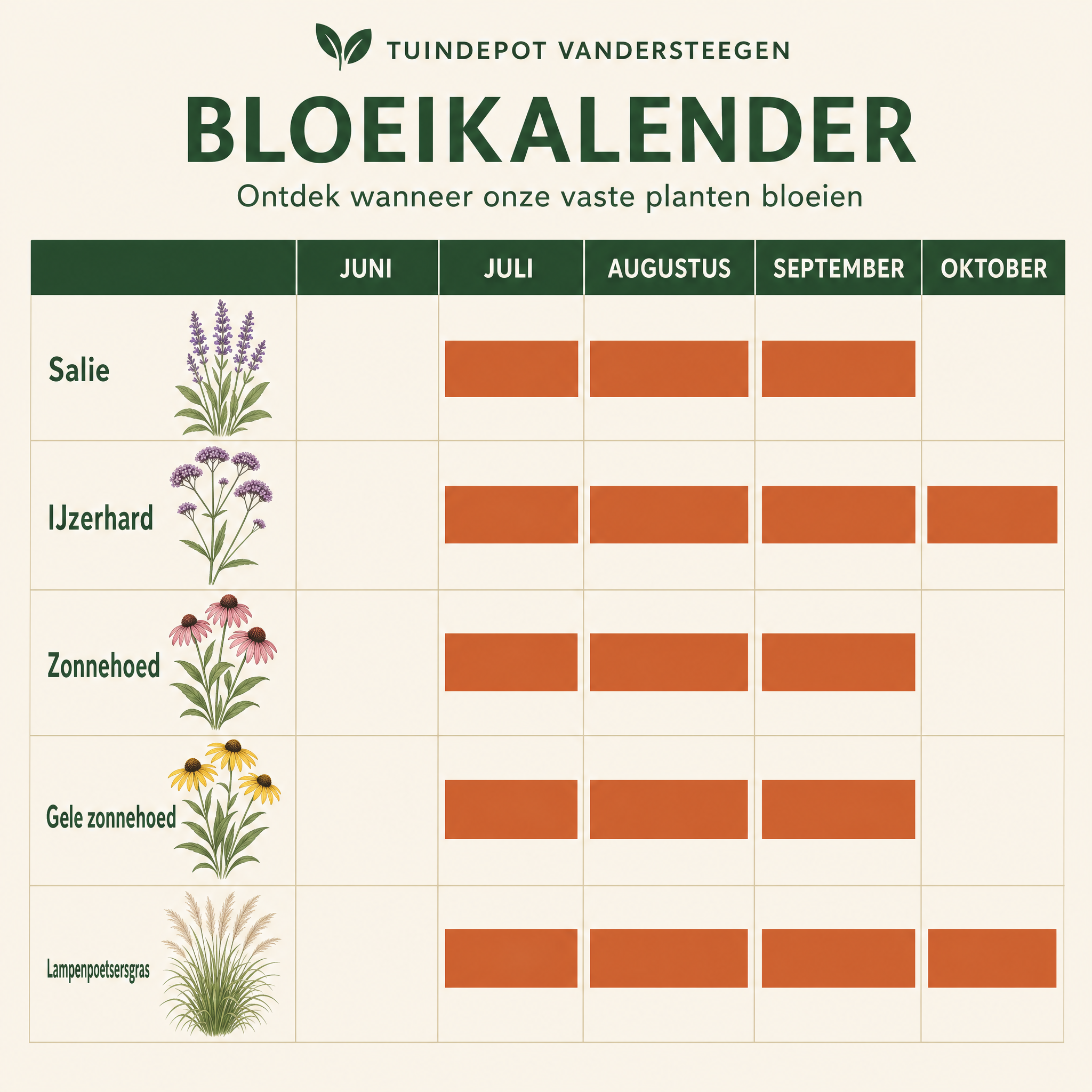 Bloeikalender Berlioz border