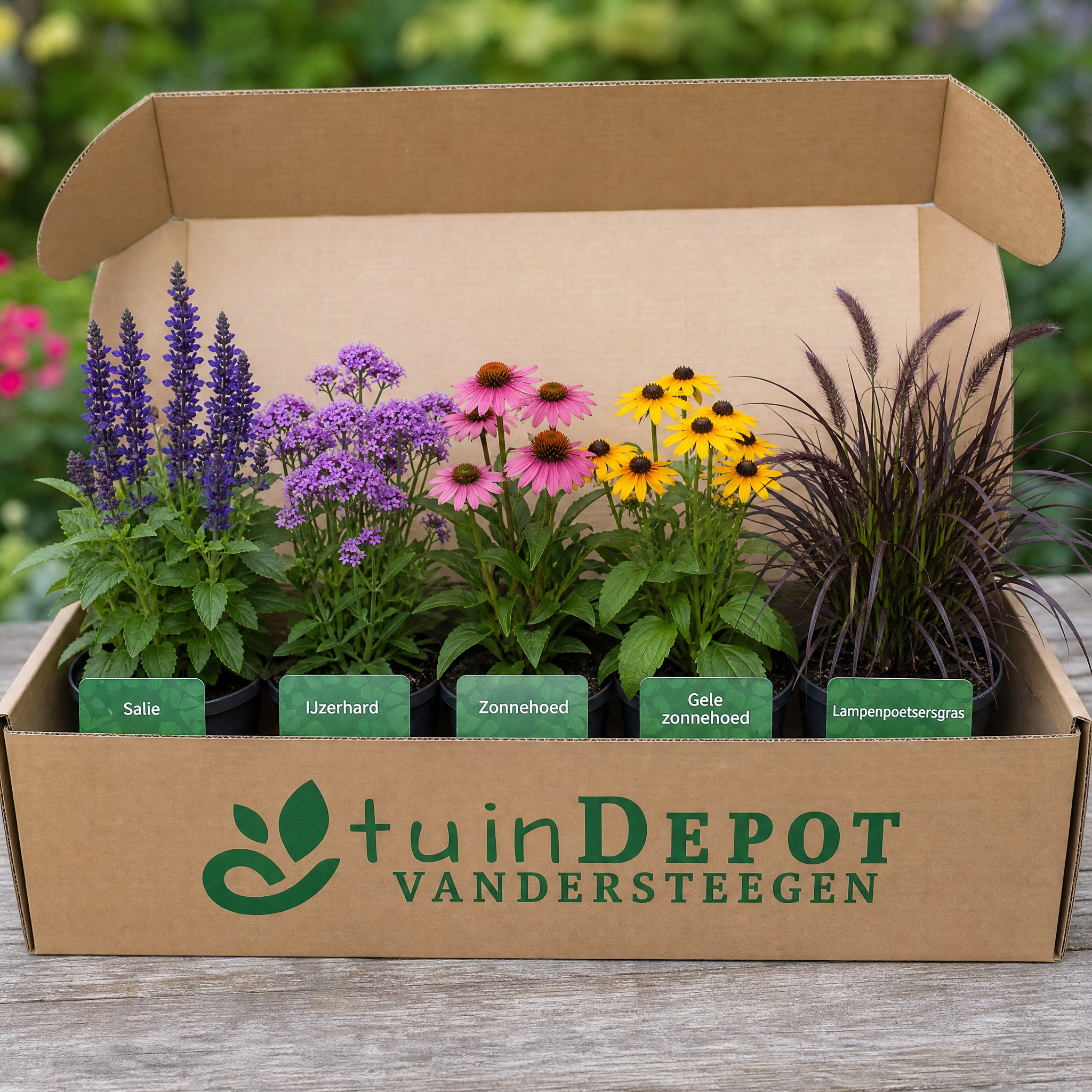 TuinDepot-verpakking met de 5 planten van de Berlioz-border