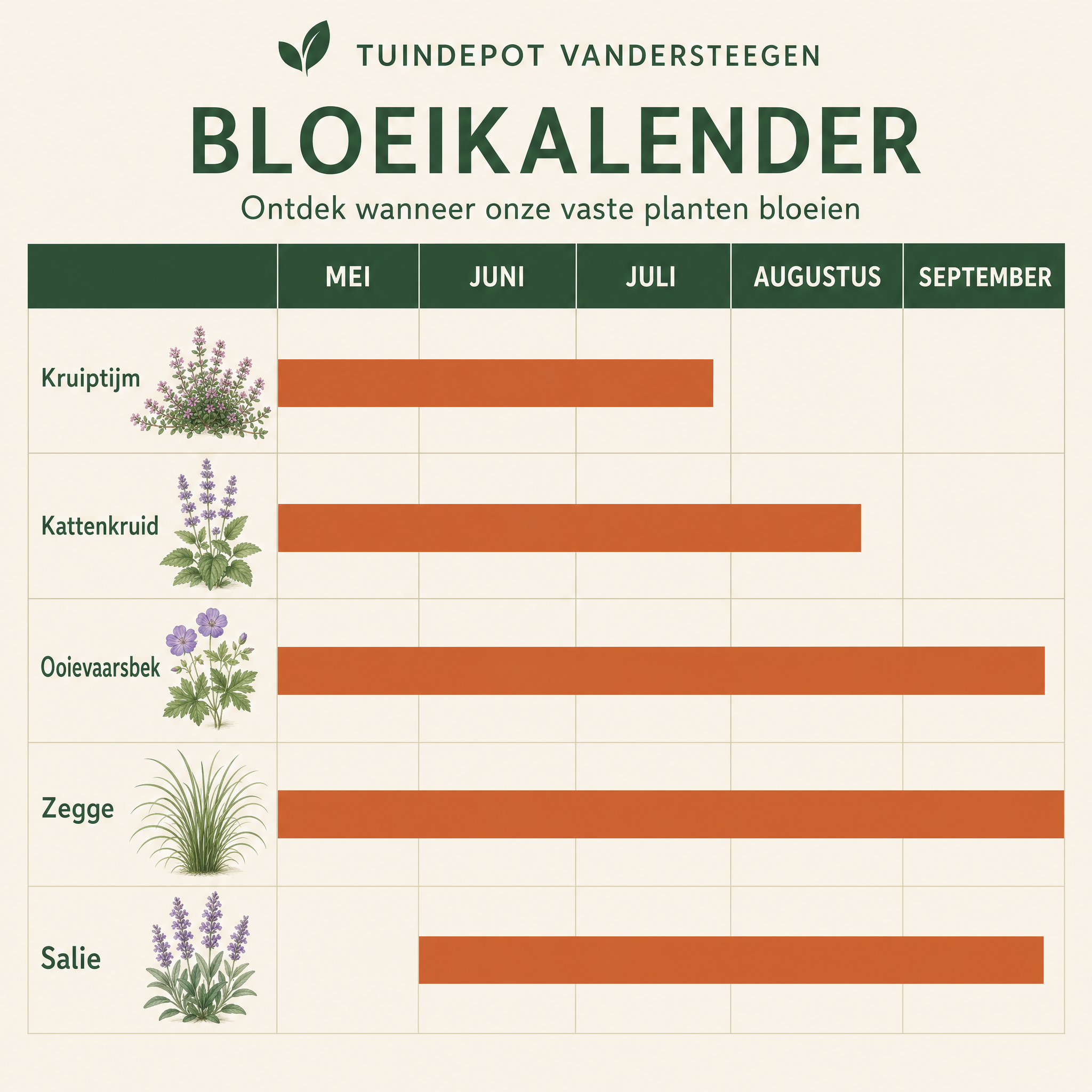 Bloeikalender Sibelius border