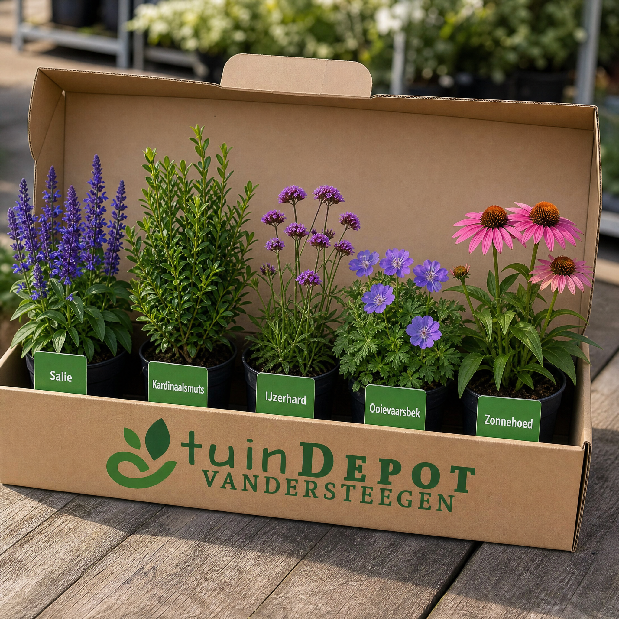 TuinDepot-verpakking met de 5 planten van de Haydn-border