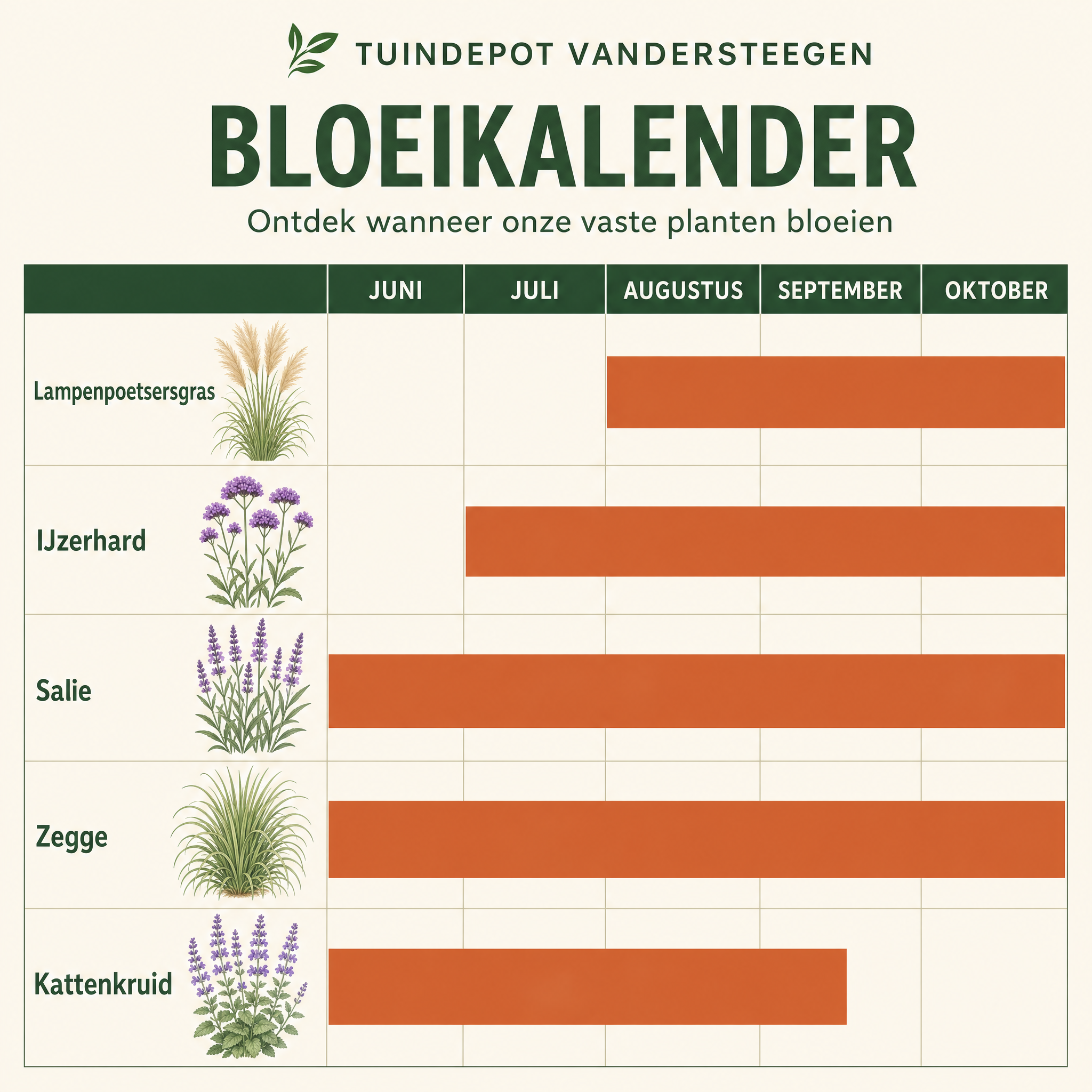 Bloeikalender Bizet border