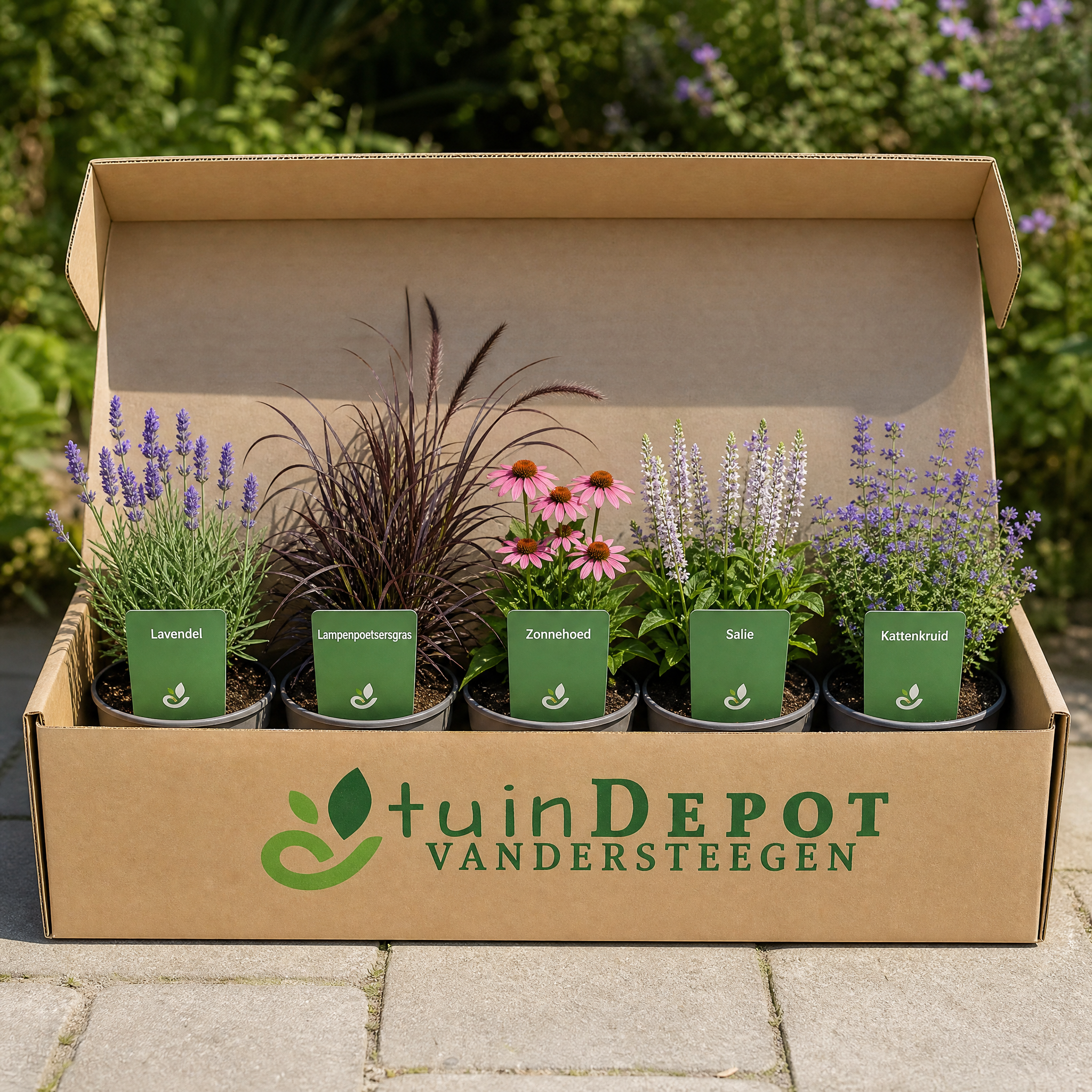 TuinDepot-verpakking met de 5 planten van de Strauss-border