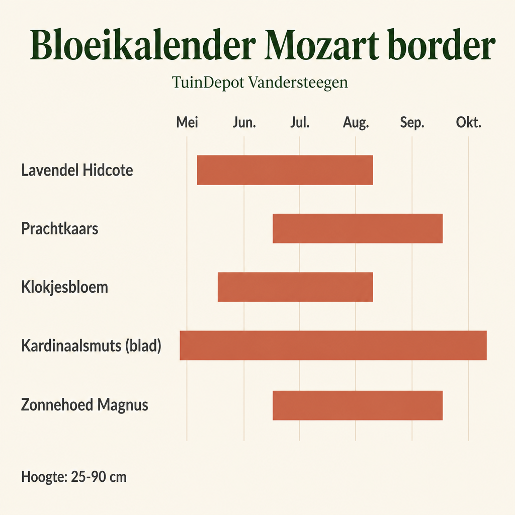 Bloeikalender Mozart border