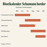 Bloeikalender Schumann border