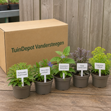 TuinDepot-verpakking met de 5 planten van de Smetana-border
