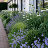 Wit-blauwe structuurborder langs een terras