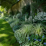 Elegante bonte schaduwborder langs een tuinmuur