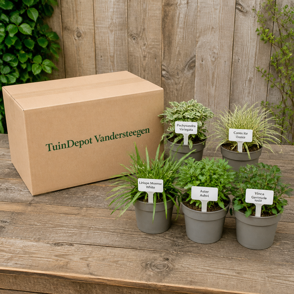 TuinDepot-verpakking met de 5 planten van de Ravel-border