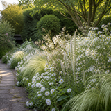 Dromerige witte border langs een tuinpad