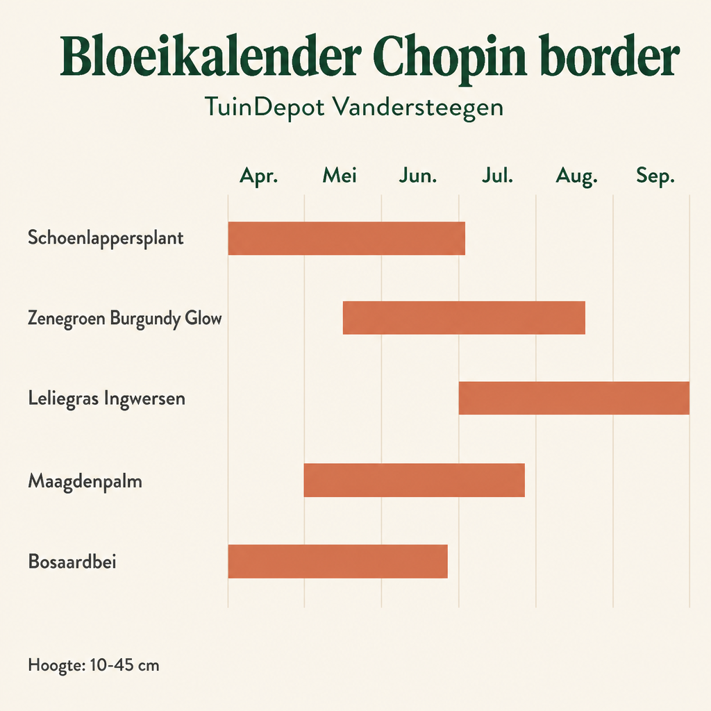 Bloeikalender Chopin border