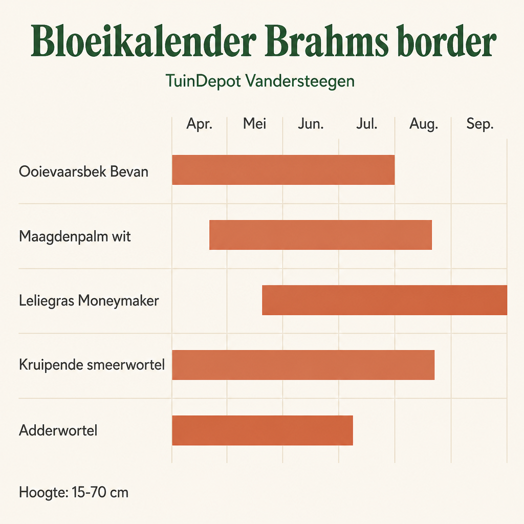 Bloeikalender Brahms border