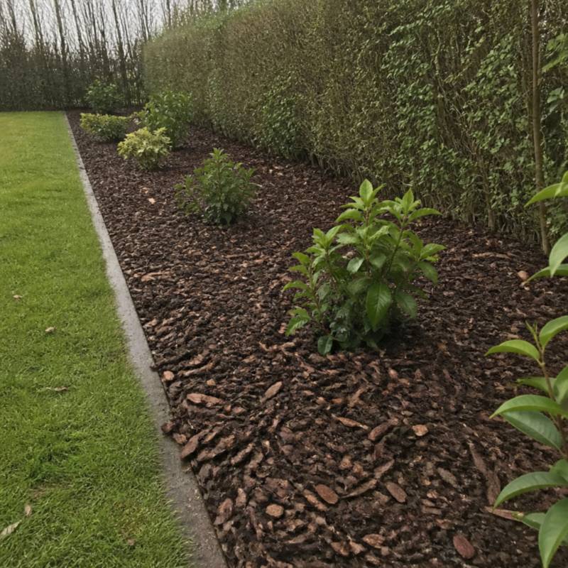 Lange haagborder afgedekt met donkerbruine epicea boomschors, met enkele struiken langs een groene haag