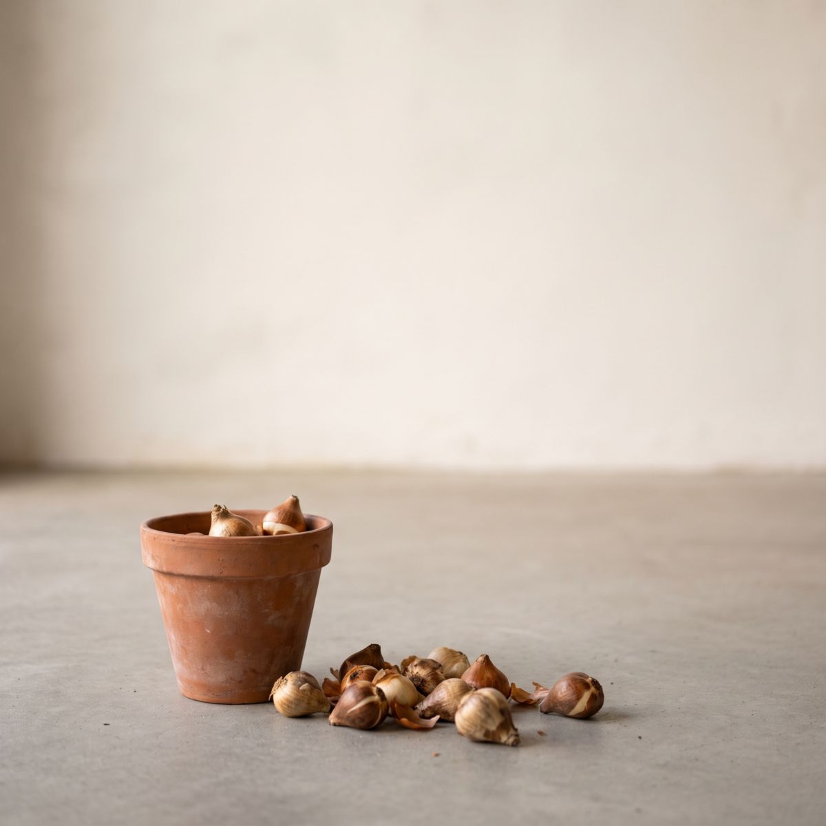 Terracotta pot met bloembollen op een betonnen vloer, klaar om in lagen geplant te worden