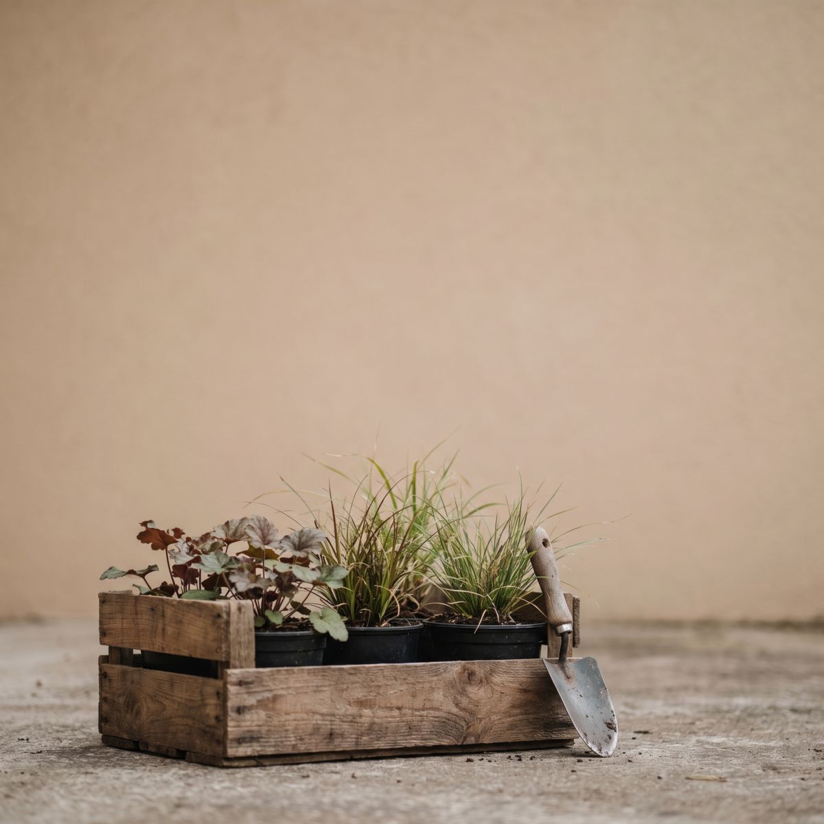 Krat met jonge vaste planten in pot en een plantschopje, klaar om een border aan te leggen in het najaar