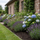 Outdoor planten — tuinborder met hortensia's, siergrassen en lavendel