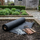 Tuinartikelen