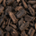 Boomschors close-up