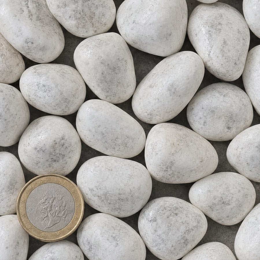 Carrara rond 15/25 mm van bovenaf, op schaal naast een munt van 1 euro (gezichtsveld 9 bij 9 cm)