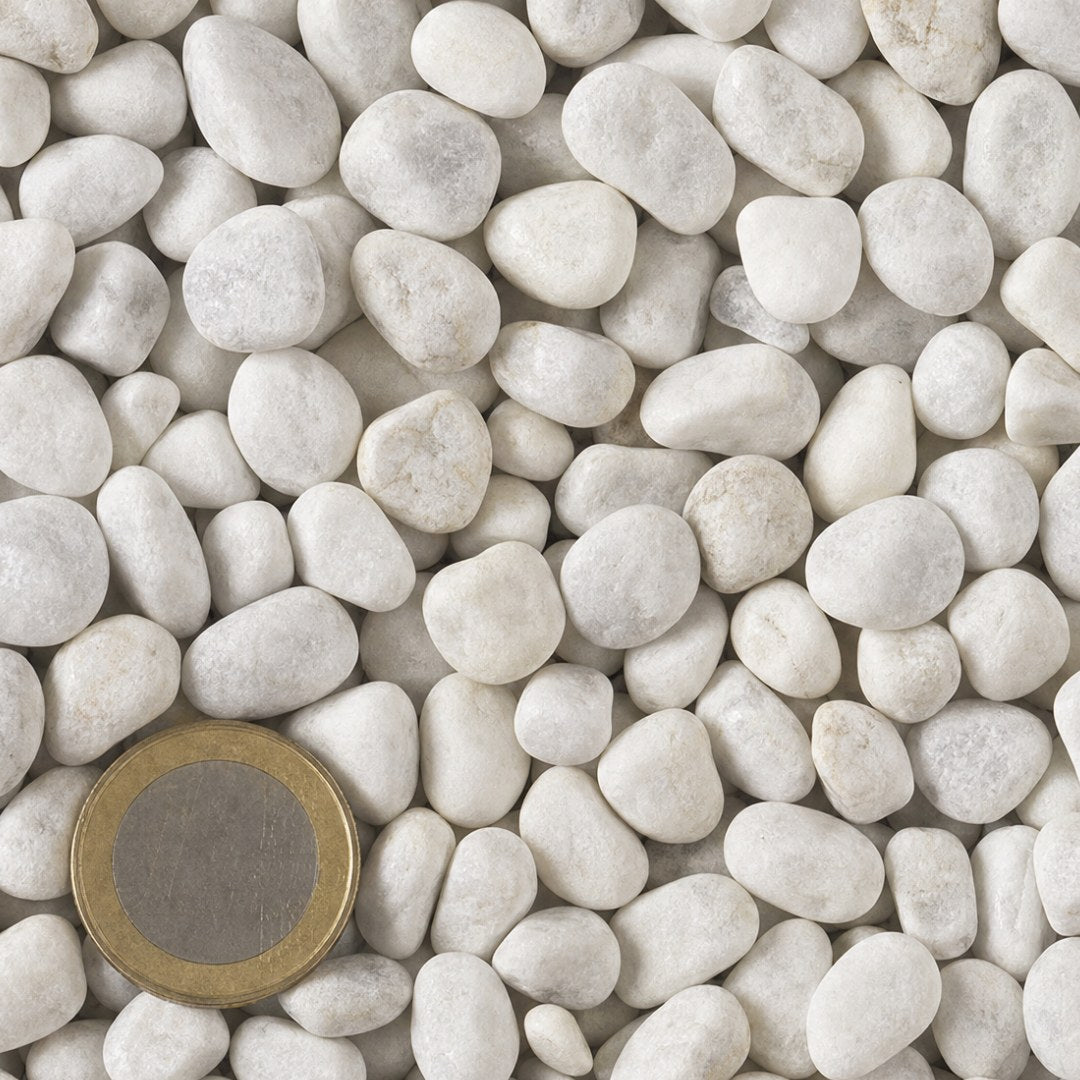 Carrara rond 7/15 mm van bovenaf, op schaal naast een munt van 1 euro (gezichtsveld 9 bij 9 cm)